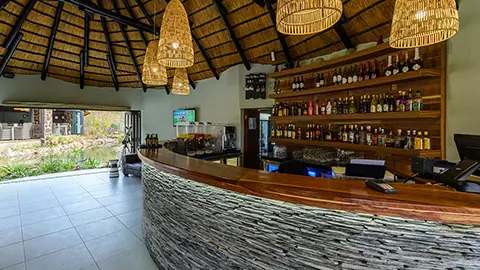 21_Waterberg_ThirstyWarthogBar