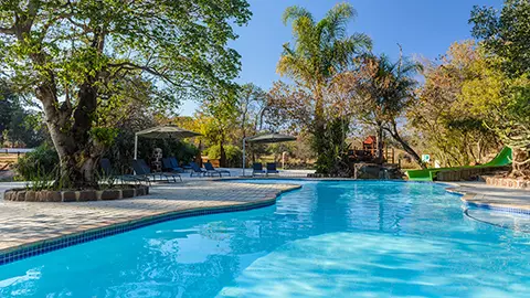 5_Waterberg_SwimmingPool